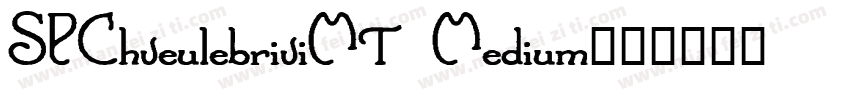 SPChveulebriviMT Medium字体转换